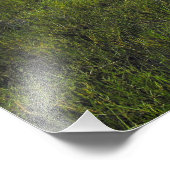 パララハバレー フォトプリント            (角)