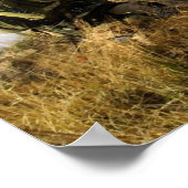 パラレースキュージャンパー ポスター (角)