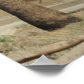 パラレースキュージャンパー ポスター (角)