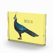パラワン孔雀キジ鳥の漫画イラストレーション フォトブロック (右)