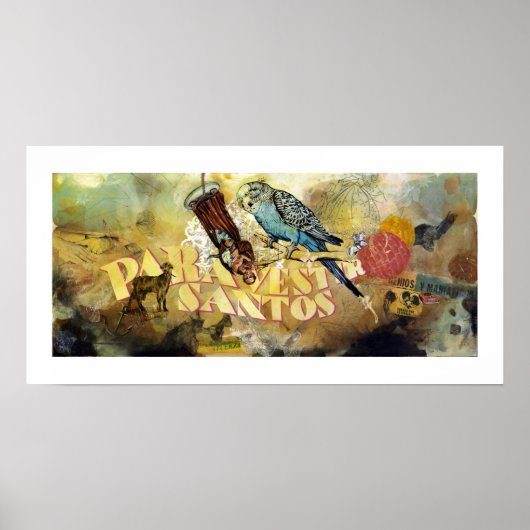 パラヴェストリアサントス ポスター (正面)