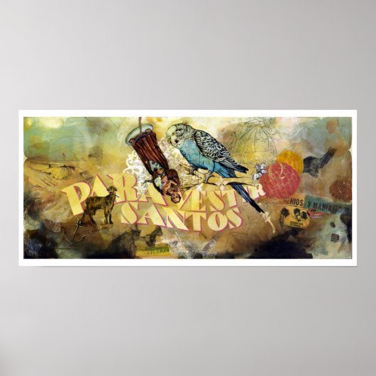 パラヴェストリアサントス ポスター (正面)