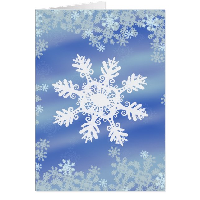 パラ小口VII (正面)