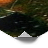 パリのウェットナイトインテリアデザイナーポスター ポスター (角)