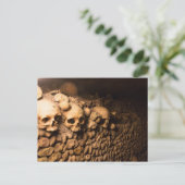 パリのカタコンベの骨格配置 ポストカード (スタンド正面)