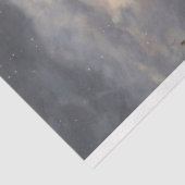 パリのデコペ絵を描で白いプードル 薄葉紙 (詳細)