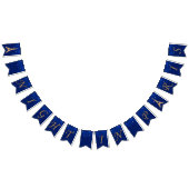 パリのパーティーの旗布の旗の夜 バンティングフラッグ (全)