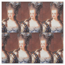 パリのフランス人のMarieアントワネットの生地 ファブリック