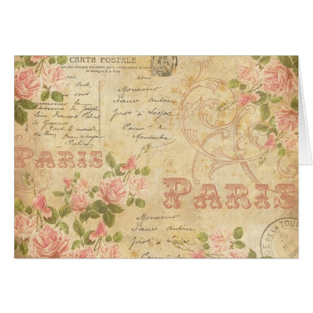 パリの上品 (正面横)