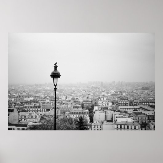 パリの屋根 – ポスター (正面)