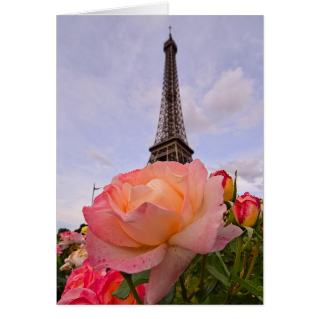 パリイン春は常に良いアイディア (正面)