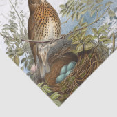 パリエッフェルタワーバードネストフランスの文字デクページ 薄葉紙 (詳細)