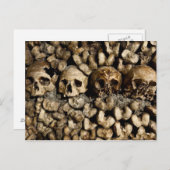 パリカタコンブススカルとボーンズのはがき ポストカード (正面/裏面)