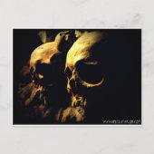 パリカタコンブスバイエイプリルアテイラー ポストカード (正面)