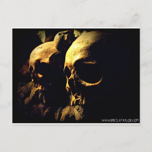 パリカタコンブスバイエイプリルアテイラー ポストカード (正面)