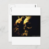 パリカタコンブスバイエイプリルアテイラー ポストカード (正面/裏面)