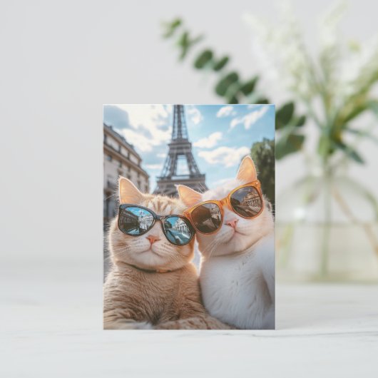 パリクールの猫たち ポストカード (スタンド正面)