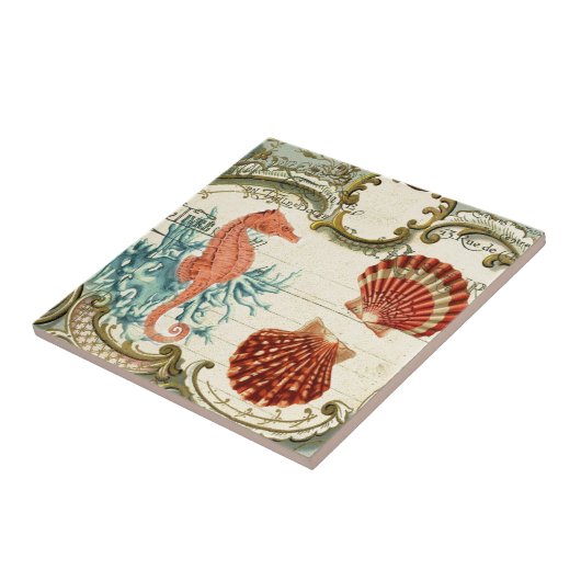 パリシフランスのアモダンヴィンテージ貝類 タイル (側面)