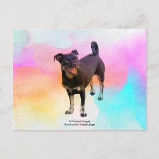 パリディスコポストカード ポストカード