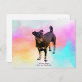 パリディスコポストカード ポストカード (正面/裏面)