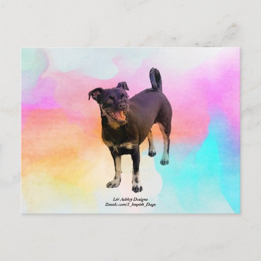 パリディスコポストカード ポストカード (正面)