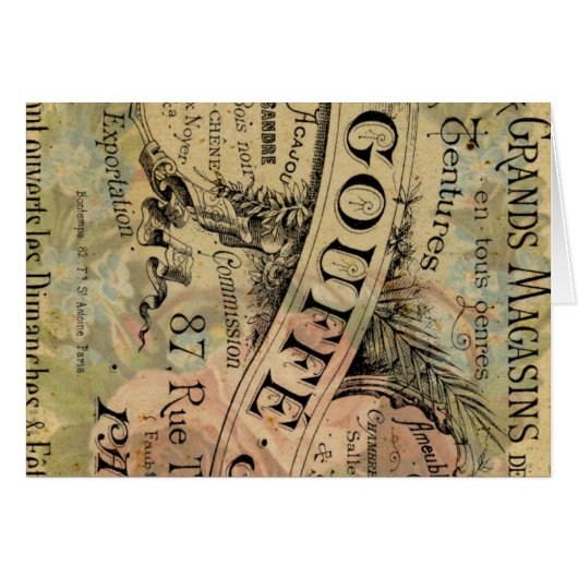 パリバラ (正面横)