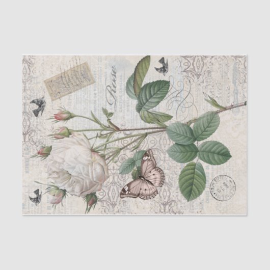 パリバラ 薄葉紙 (正面)