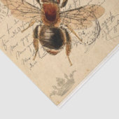 パリポストカードティッシュペーパー 薄葉紙 (詳細)