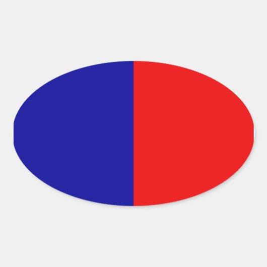 パリ国旗 楕円形シール (正面)