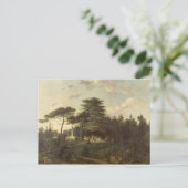 パリ植物園のレバノンのヒマラヤスギ ポストカード (スタンド正面)