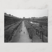 パリ1920 ポストカード (正面)