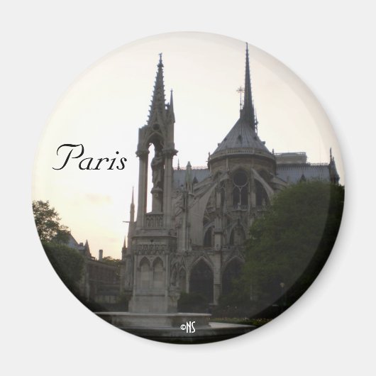 パリ、フランス磁石 マグネット (正面)
