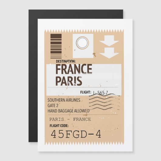パリ フランス 飛行機のチケット (正面/裏面)
