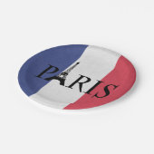 パリ ペーパープレート (アングル)