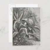 パルクを抽出 ポストカード (正面/裏面)