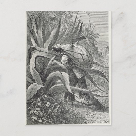 パルクを抽出 ポストカード (正面)