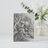 パルクを抽出 ポストカード (スタンド正面)