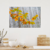 パルケナチュラルデルモナステリオ – 紅葉 ポスター (キッチン)