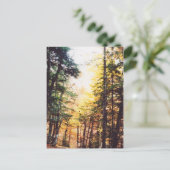 パルケ国立オルデサ ポストカード (スタンド正面)