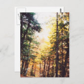 パルケ国立オルデサ ポストカード (正面/裏面)