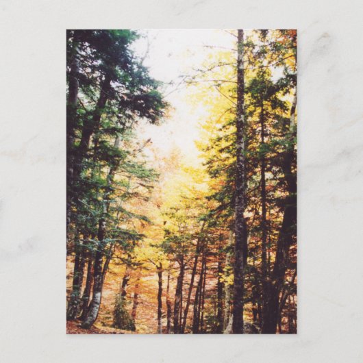 パルケ国立オルデサ ポストカード (正面)