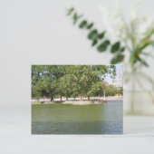 パルケ・モナガス ポストカード (スタンド正面)