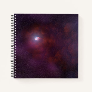 パルサー中性子星からの風。 ノートブック