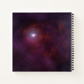 パルサー中性子星からの風。 ノートブック (裏面)
