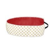 パルサー アスレチックヘッドバンド (右)