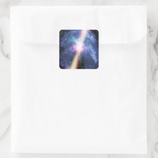 パルサー スクエアシール (バッグ)