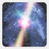 パルサー スクエアシール (正面)