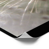 パルサー ポスター (角)