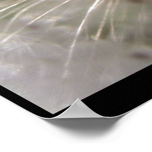 パルサー ポスター (角)