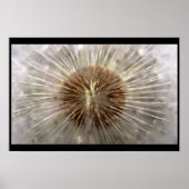 パルサー ポスター (正面)